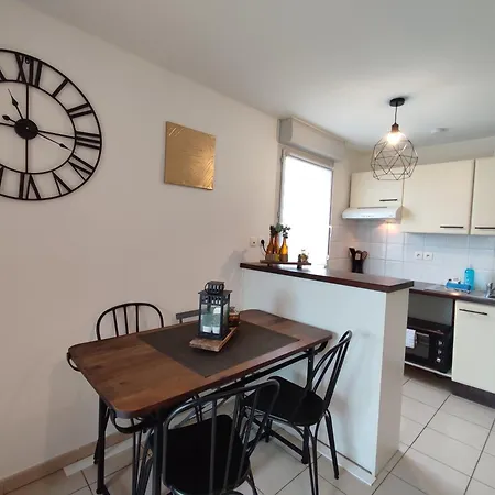 Apartment Cosy 2 Pieces Wifi Parking Jardin Metro Toulouse