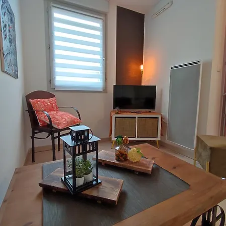 Cosy 2 Pieces Wifi Parking Jardin Metro * Toulouse